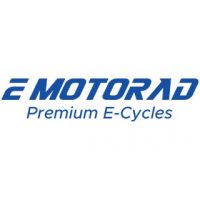 Software Testing Intern at EMotorad, Pune