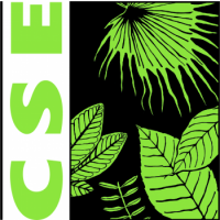 Centre for Science and Environment Internship
