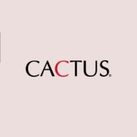 Internship Opportunity at Cactus