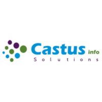 Python Internship at Castus Info Solutions, Hyderabad