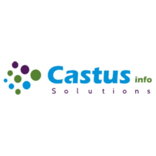 Python Internship at Castus Info Solutions, Hyderabad