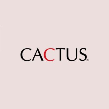 Internship Opportunity at Cactus