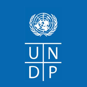 JOB POST Data Analytics and Strategic Insights Analyst at UNDP, New Delhi Apply Now!