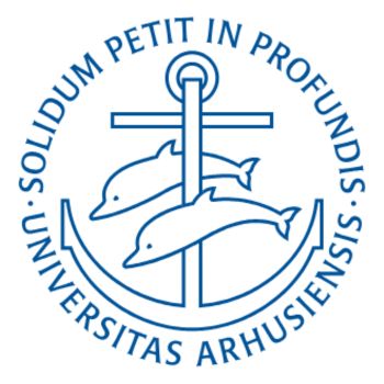 Danish State Scholarships 2024 [Tution fee waiver]: Apply by Jan 15