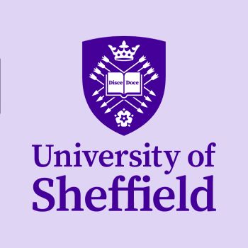 Delhi Public School Undergraduate Merit Scholarship 2024 by University of Sheffield