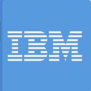 Digital Sales Specialist Intern at IBM