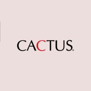 Full Stack Developer Intern at Cactus