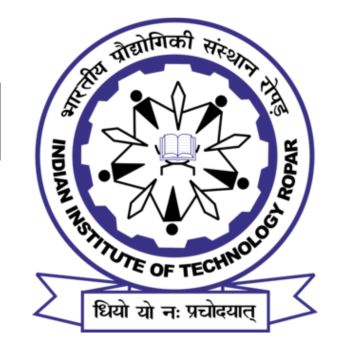 Summer Internship 2024 at IIT Ropar [May 15- July 15]