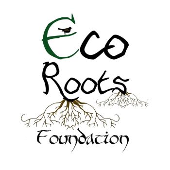 Eco Roots Foundation Internship 2024