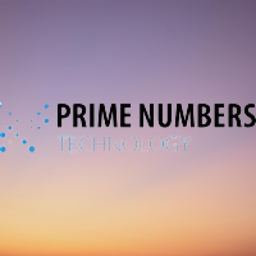 Python Development Internship at primenumbers technology