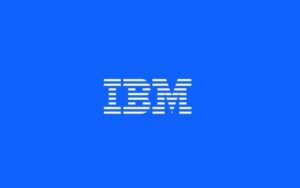 Business Transformation Consultant Internship at IBM, Mumbai