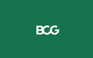 Data Analyst Intern at BCG, Gurgaon