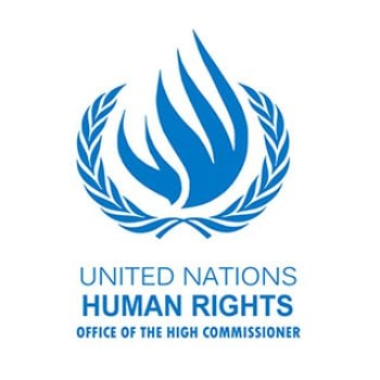 2025 OHCHR Minority Fellowship Programme