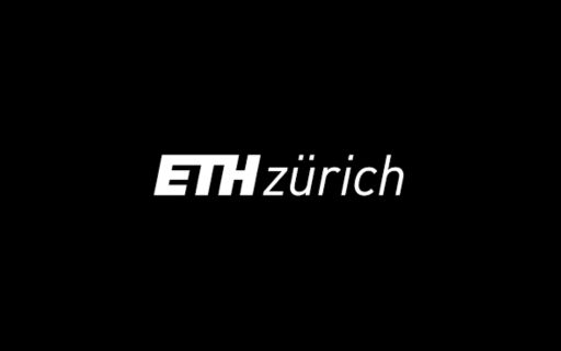 Student Summer Research Fellowship 2025 at ETH Zuric