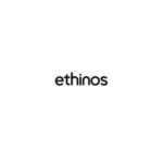 Software Engineering Internship at Ethinos