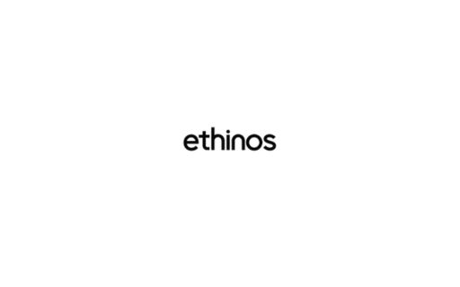 Software Engineering Internship at Ethinos