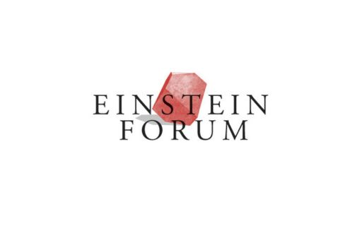 Einstein Fellowship 2025