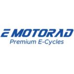 Software Testing Intern at EMotorad, Pune