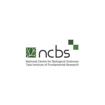 BERI Early Career Award