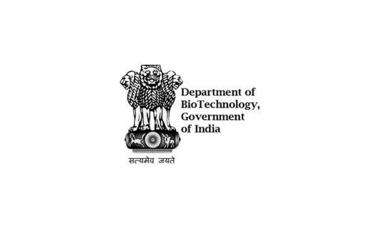 Summer Research Internship Program 2025 at IIT [Teaching Assistant]: Apply Now!