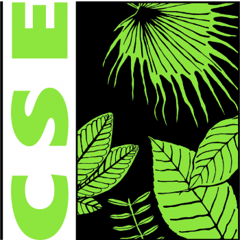 Centre for Science and Environment Internship